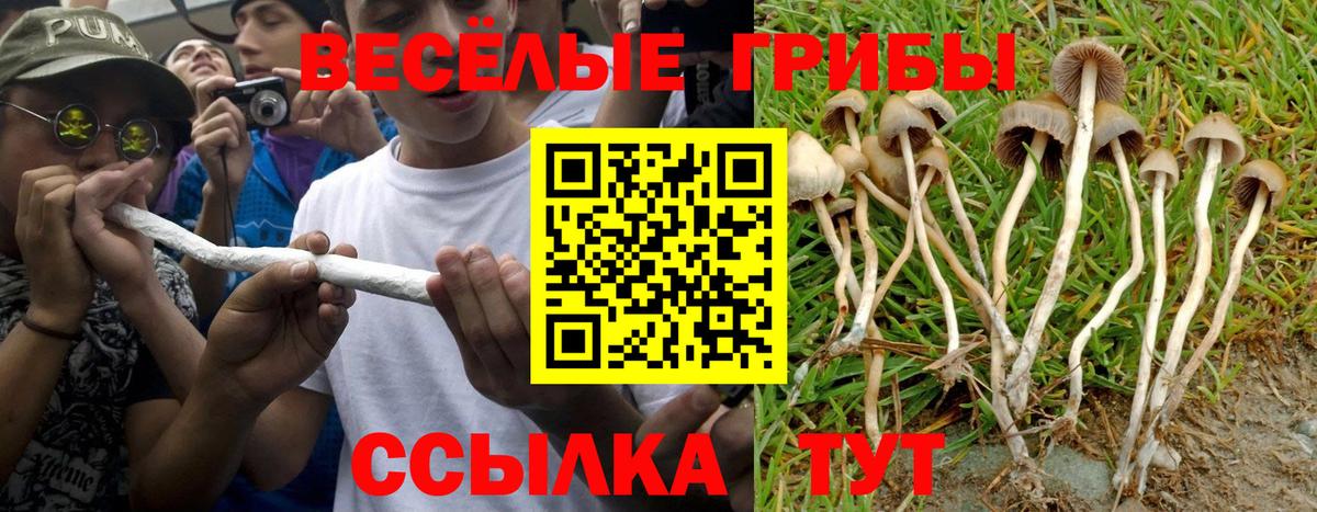 Галлюциногенные грибы прущие грибы  Псилоцибиновые грибы Magic Shrooms  Куйбышев  Вход с VPN 